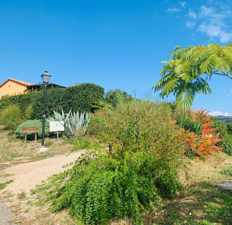 Agriturismo Annibale Tuoro sul Trasimeno Bagian luar foto