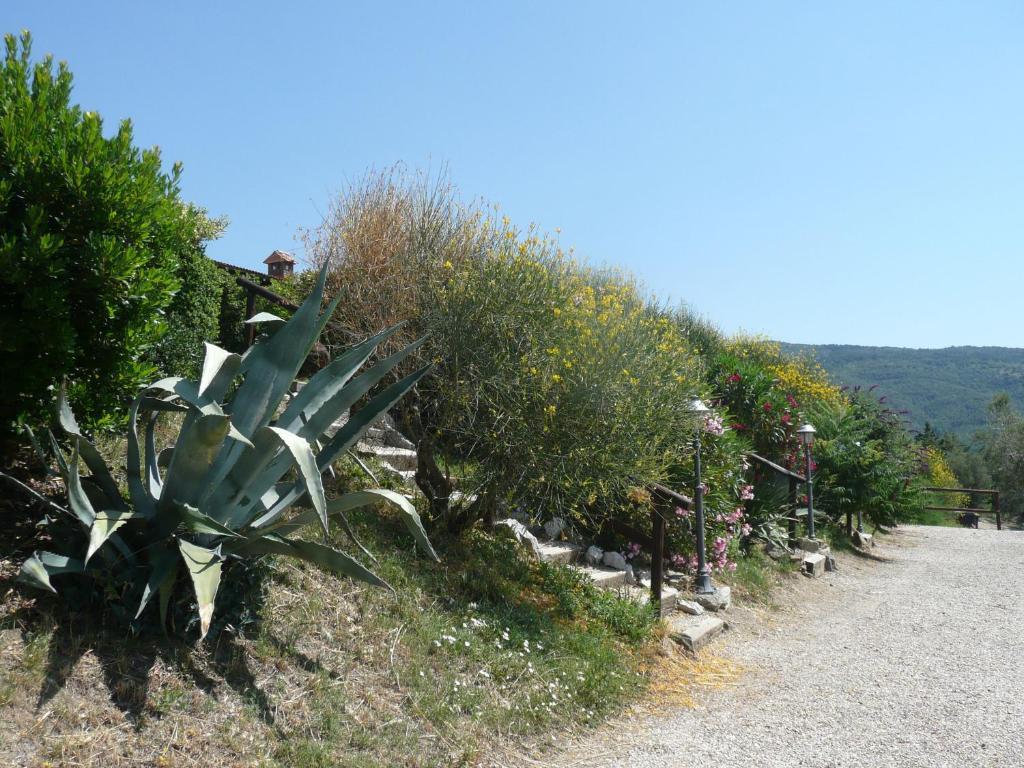 Agriturismo Annibale Tuoro sul Trasimeno Bagian luar foto